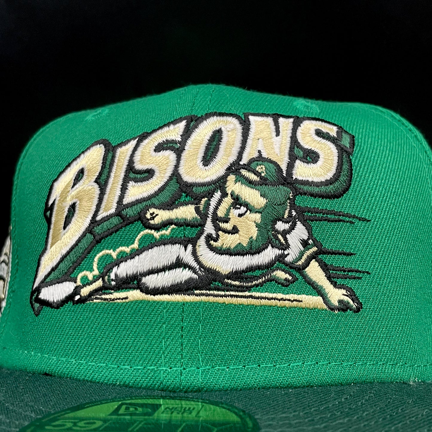 Bisons “Earth Element”